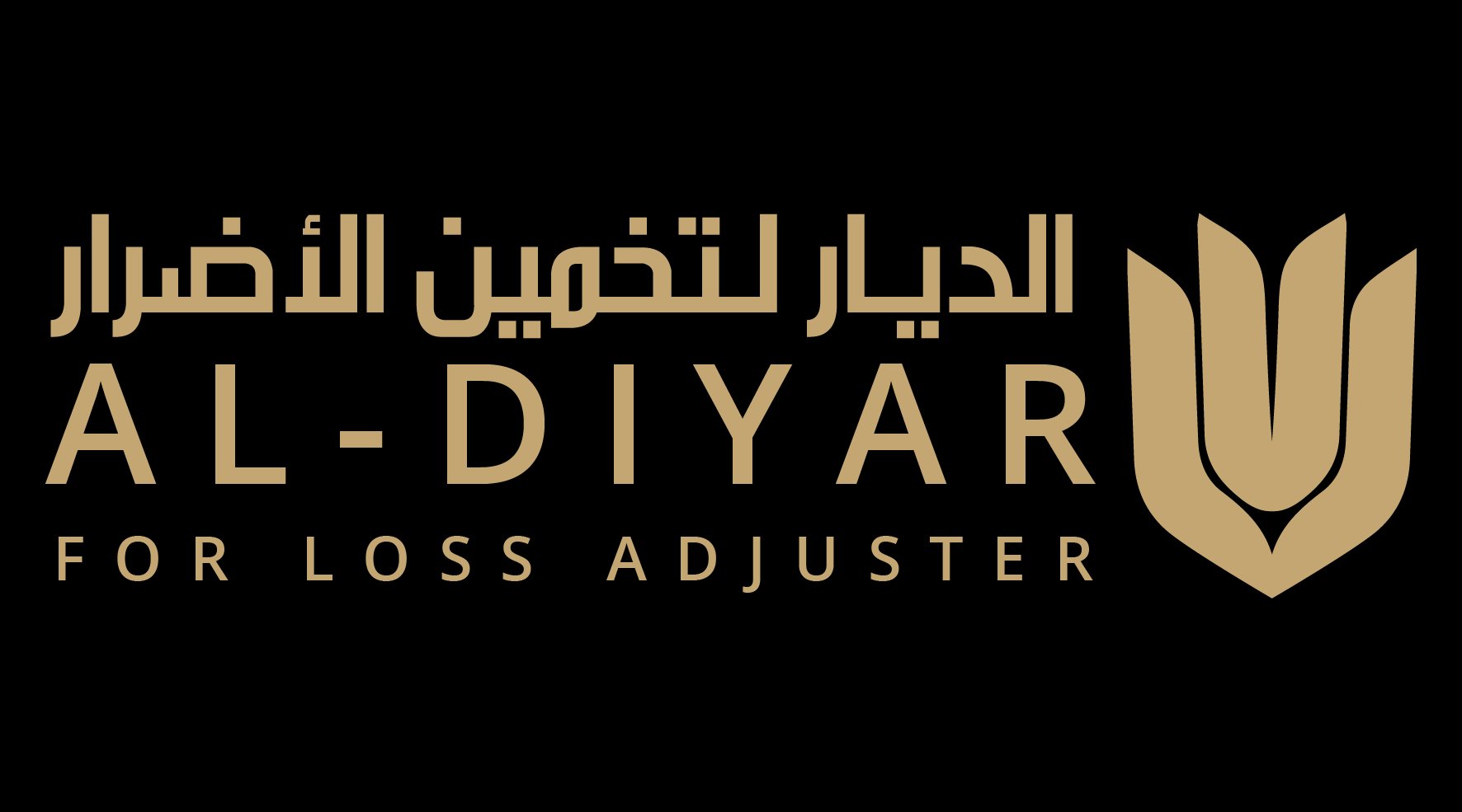 الديار لتخمين الأضرار